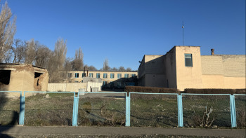 Фотография к новости: Шымырлықтарға жайылым жер қажет