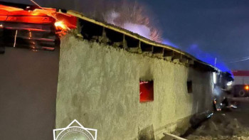 Фотография к новости: Жамбыл облысында өртте 48 бас мал қырылып қалды