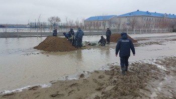 Фотография к новости: Полиция су тасқынынан қорғау шараларына белсенді қатысып жатыр