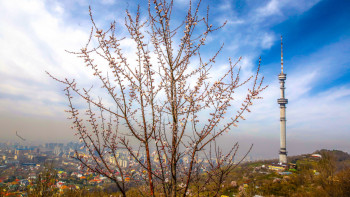 Фотография к новости: Алматыда ауа сапасы нашарлайды