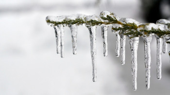 Фотография к новости: Оңтүстікте күн салқындайды