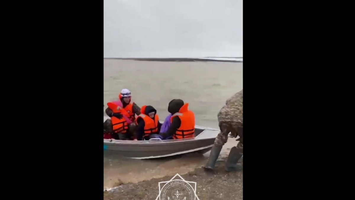  видеодан скриншот