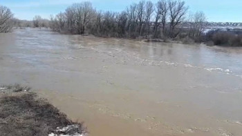 Фотография к новости: Абай облысындағы Боғас өзенінде жағдай тұрақты - әкімдік