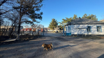 Фотография к новости: Жетісудың тастағы тарихы талқандалып жатыр