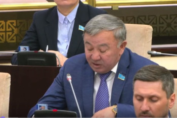 Фотография к новости: Бірде-бір мемлекеттік бағдарлама межелеген индикаторларға жетпеген – депутат