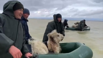 Фотография к новости: Ақтөбелік құтқарушылар түйені қауіпсіз аймаққа шығарды