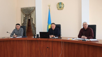 Фотография к новости: Ақсақалов зардап шеккен халыққа жедел көмек көрсетуді тапсырды