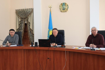 Фотография к новости: Ақсақалов зардап шеккен халыққа жедел көмек көрсетуді тапсырды