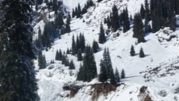 Фотография к новости: Алматыда қар көшті