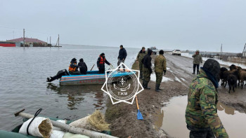 Фотография к новости: ШҚО құтқарушылары су басқан жол арқылы тұрғындарды тасымалдауды жалғастыруда