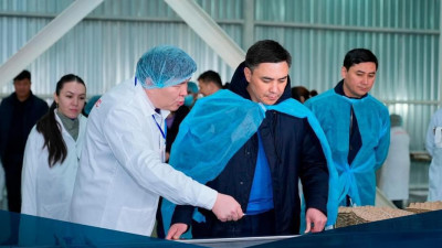 Шымкентте жаңа құс фабрикасы іске қосылды