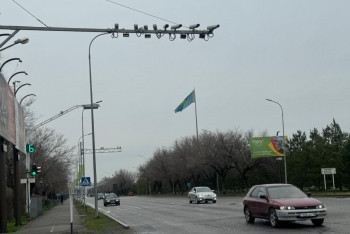 Фотография к новости: Жетісулық жүргізушілер 1 млрд теңге айыппұл арқалаған