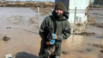 Фотография к новости: Сәл кешіккенде суға батар еді: Құтқарушының әрекеті жұртты сүйсінтті