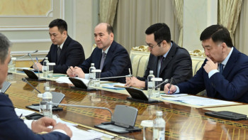 Фотография к новости: Президент Үкімет бекіткен Су ресурстарын басқару жүйесінің тұжырымдамасын сынға алды