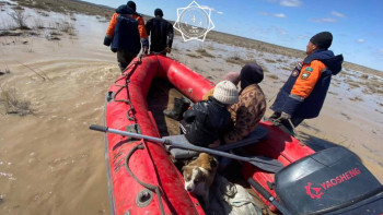 Фотография к новости: Жетісу құтқарушылары 4 адамды эвакуациялады