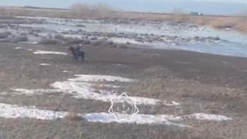 Фотография к новости: Абай облысында екі шопан құтқарылды