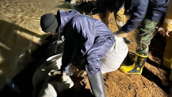 Фотография к новости: Ақтөбе облысында бөгеттерді нығайту жұмыстары жүргізілді