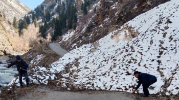 Фотография к новости: Алматыда қар көшкіні болды