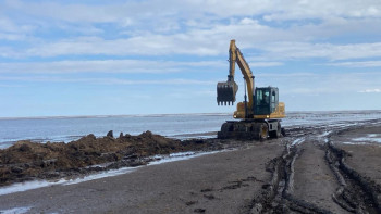Фотография к новости: "Суға өздері кірді". Вице-министр Аягөз ауданында трактормен суға батқандар туралы айтты