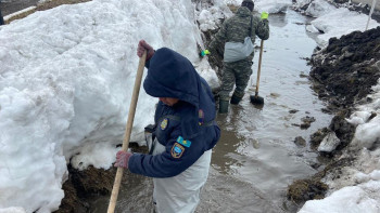Фотография к новости: Түркістандық құтқарушылар Солтүстік Қазақстан облысына келді