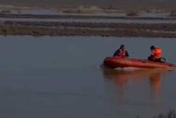 Фотография к новости: Ұлытау облысында бір табын жылқы құтқарылды