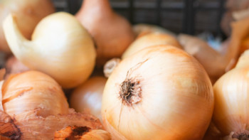 Фотография к новости: АШМ отандық пияз өндірушілерді қолдау бойынша барлық қажетті шараларды қабылдады