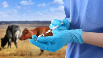 Фотография к новости: Ветеринария саласында көрсетілген қызметтер көлемі қанша болды