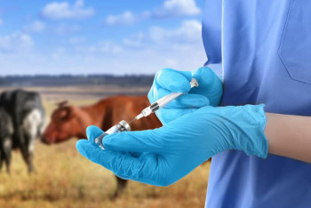 Фотография к новости: Ветеринария саласында көрсетілген қызметтер көлемі қанша болды