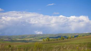 Фотография к новости: Прокуратура 2,4 млрд теңгеге бағаланған жерді қайтарды