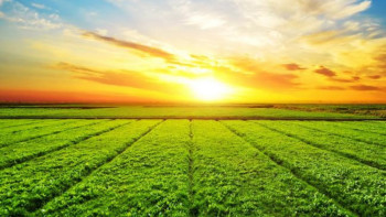 Фотография к новости: Қайтарылған жерлерді бөлуге арналған конкурстардың шарттары қайта қаралады