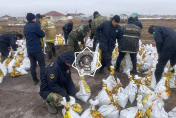 Ақмола облысының ауылдарына шымкенттік құтқарушылар көмектесуде