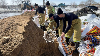 Фотография к новости: Азаматтық қорғау академиясының курсанттары Ақмола облысына көмекке барды