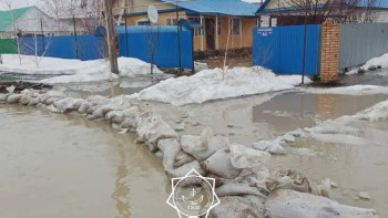 Фотография к новости: Су тасқынынан зардап шеккен бір де бір адам көмексіз қалмайды - Президент