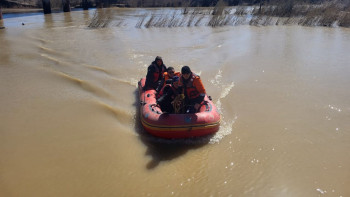 Фотография к новости: Құлсарыда екі адамның мүрдесі табылды