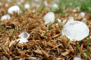 Алдағы күндері жел күшейіп, бұршақ жауады