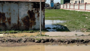 Фотография к новости: Алматы облысындағы ауыл көшелерін су алды