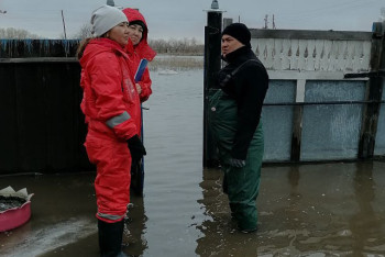 Волонтёрлер тасқын судан зардап шеккендерге қалай көмектесіп жатыр