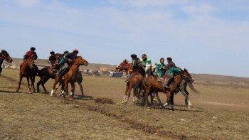 Фотография к новости: Алғаш рет Абай облысында көкпардан чемпионат өтті