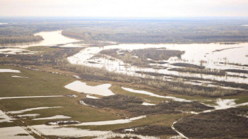 Фотография к новости: Вице-премьер зардап шеккен аудандар мен эвакуациялау пункттерін аралады