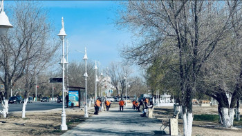 Фотография к новости: Қызылорда облысында 35 мың түп ағаш егу жоспарланып отыр