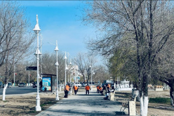 Фотография к новости: Қызылорда облысында 35 мың түп ағаш егу жоспарланып отыр