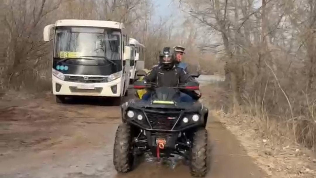  видеодан кадр