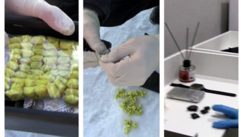 Фотография к новости: ІІМ есірткі таратуға қатысы бар қылмыстық топтарға тосқауыл қойды