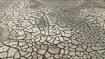 Фотография к новости: Биыл оңтүстік өңірлерде қуаңшылық болуы мүмкін – Қазгидромет