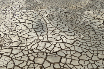 Фотография к новости: Биыл оңтүстік өңірлерде қуаңшылық болуы мүмкін – Қазгидромет