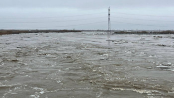 Фотография к новости: Су тасқыны: Спортшылар елмен бірге
