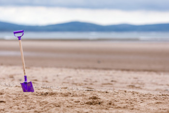 Фотография к новости: Ақмоладағы ғылыми орталық 12 млн теңгеге 150 күрек сатып алмақ болған