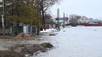 Фотография к новости: Ақтөбе облысында су тасқынынан 3200-ден астам мал өлген