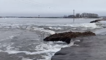 Фотография к новости: Сенатор ТЖ кезіндегі меморгандардың іс-әрекетіндегі сәйкессіздік туралы айтты