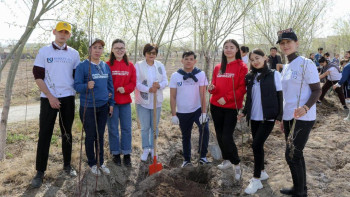Фотография к новости: "Таза Қазақстан". Қызылордалық студенттер ағаш көшеттерін отырғызды